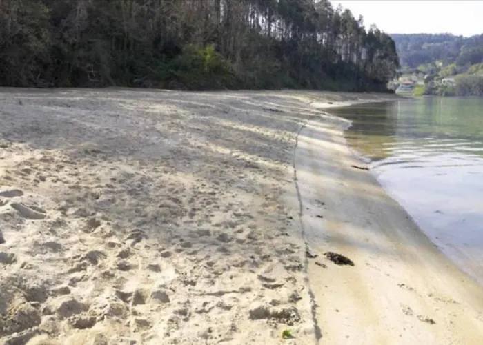 Estudio Tipo Loft En El Centro De *